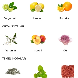 Cholé Nomade Kadın Parfümü 75ml