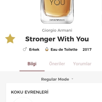 Stronger With You Erkek Parfümü Edt 100ml 