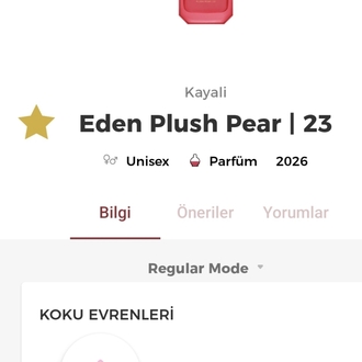 Kayali Eden Plush Pear | 23 Edp Kadın Parfümü 100ml