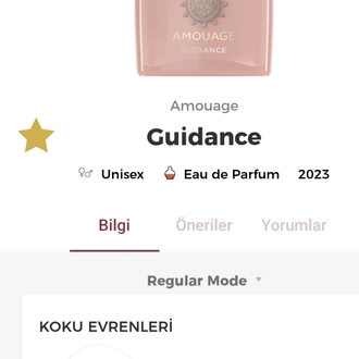 Amouage Guidance Edp Unisex Parfüm 100ml