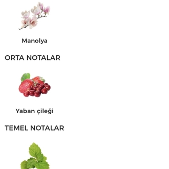 Gucci Flora Gorgeous Magnolia Kadın Parfümü Edp 100ml