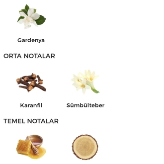 Byredo Casablanca Lily Unisex Parfüm 100ml
