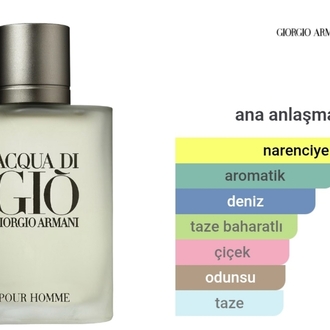 Giorgio Armani Acqua di Gio Pour Homme Edt Erkek Parfümü 100ml 