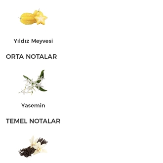 Victoria's Bombshell York Edp Kadın Parfümü 100ml