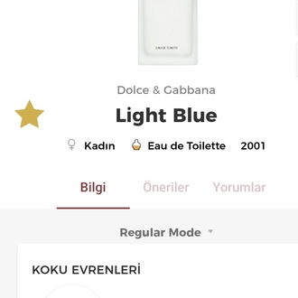 Dolce Gabbana Light Blue Kadın Parfümü Edt 100ml