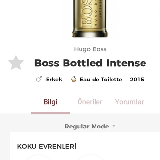 Hugo Boss Bottled İntense Edt Erkek Parfümü 100ml