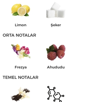 Kayali Capri İn A Bottle Lemon Sugar | 14 Edp Kadın Parfümü 100ml 