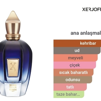 Xerjoff More Than Words Edp 100ml Unisex 