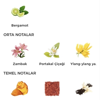 Gucci Bamboo Edp Kadın Parfümü 75ml