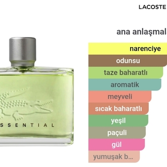 Lacoste Essential Pour Homme Erkek Parfümü Edt 125ml