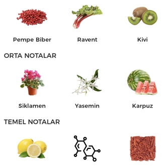 D&G L'impératrice Edt Kadın Parfümü 100ml