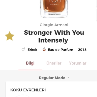 Stronger With You İntelsely Edp Erkek Parfümü 100ml