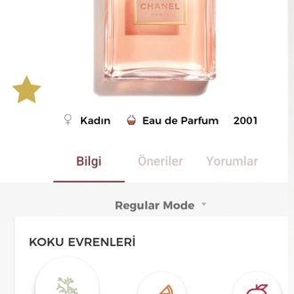 Chanel Coco Mademoiselle Edp Kadın Parfümü 100ml