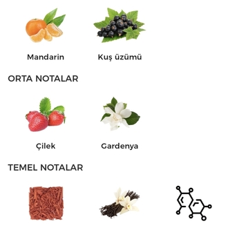 Lattafa Yara Candy Edp Kadın Parfümü 100ml