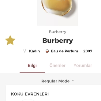 Burberry Classic Edp Kadın Parfümü 100ml