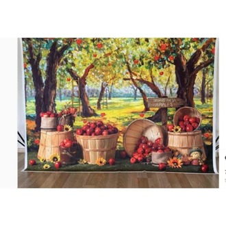 *3999* 1521 CM PLATO KONSEPT ÇEKİMİ 1 POZ