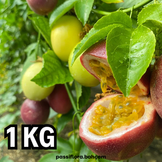 1 KİLOGRAM  - Passiflora Çarkıfelek Meyvesi