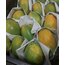 2 ADET PAPAYA MEYVESİ