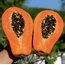 4 ADET PAPAYA MEYVESİ
