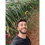 4 KİLOGRAM - EJDER MEYVESİ