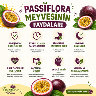 3 KİLOGRAM - Passiflora Çarkıfelek Meyvesi