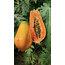 4 ADET PAPAYA MEYVESİ