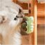 2 ADET YENGEÇ KEDİ NANESİ OYUN TOPU