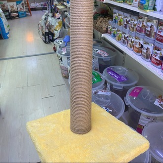 Kedi Tırmalama Tahtası Orta