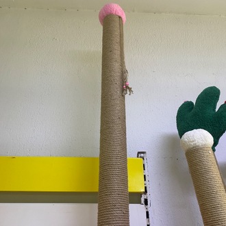 Kedi Tırmalama Tahtası Büyük Boy