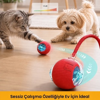 PatiTop™ Akıllı Evcil Hayvan Topu - 1 ALANA 1 BEDAVA