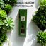 PATRONUS YASEMİN ORTAM KOKUSU 120 Ml