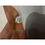 Carhartt G�mlek - XL / 42