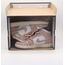 Nike Air Jordan 1 Mid SE Legend Pink GS
