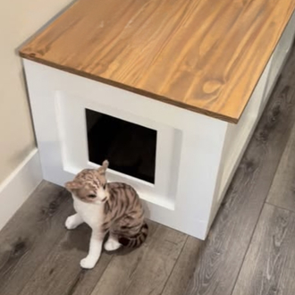 Gizli Kedi kumu kabı bankı