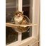 Paw Bowl Jetgiller :)