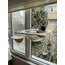 Paw Bowl Cabrio ve Cam Basamağı Kampanyası