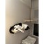 Wall - Siesta Rafı