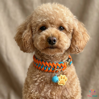 Blue Mandarin Paracord Kedi/Köpek Tasması
