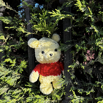Bear Winnie 