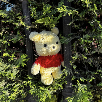 Bear Winnie 
