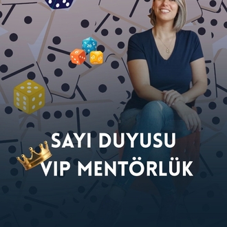 Sayı Duyusu Vip Grup Mentörlük