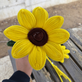 Ayçiçeği kiti