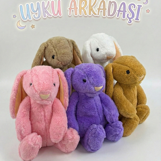Uyku Arkadaşı