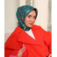 Silk home