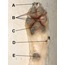 PetiPure pet O3 Ozonated Therapy (Roll-On 20 ml)