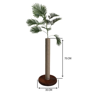 Olive - Petody Doğal Ahşap Kedi Tırmalama Ağacı