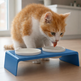 Petscape 2'li Yükseltilmiş Seramik Renkli Standlı Kedi Köpek Mama Su Kabı