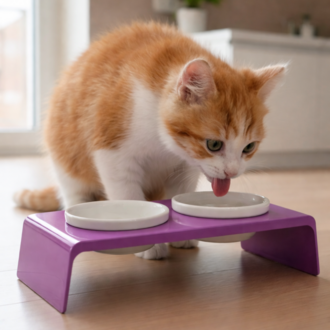 Petscape 2'li Yükseltilmiş Seramik Renkli Standlı Kedi Köpek Mama Su Kabı