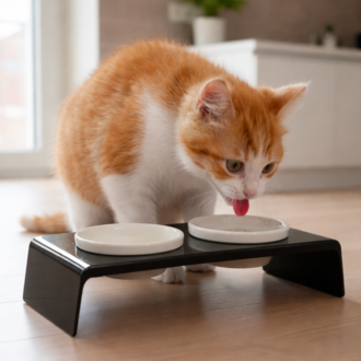Petscape 2'li Yükseltilmiş Seramik Renkli Standlı Kedi Köpek Mama Su Kabı