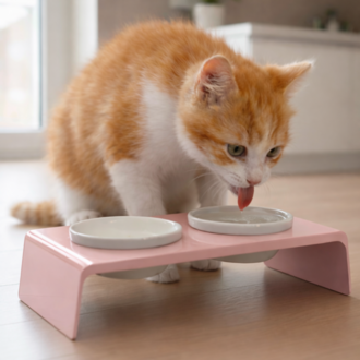 Petscape 2'li Yükseltilmiş Seramik Renkli Standlı Kedi Köpek Mama Su Kabı